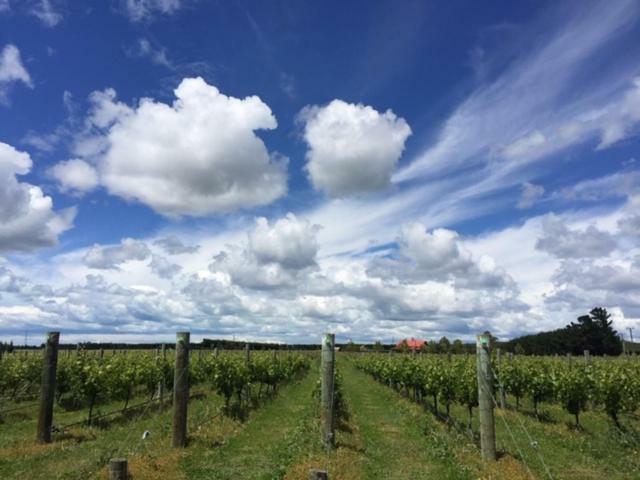 Romantic Vineyard Getaway Waipara Экстерьер фото