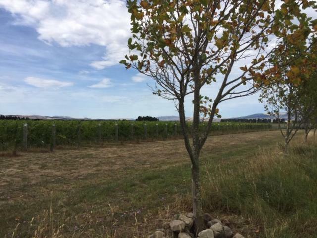 Romantic Vineyard Getaway Waipara Экстерьер фото
