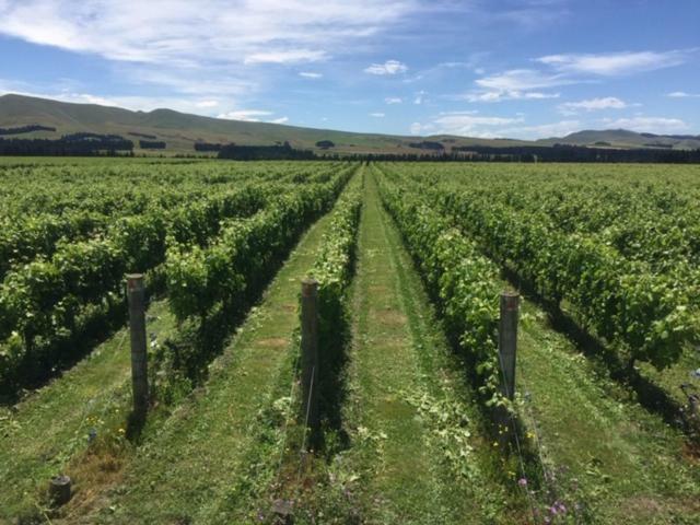 Romantic Vineyard Getaway Waipara Экстерьер фото